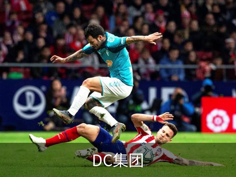 DC集团简介